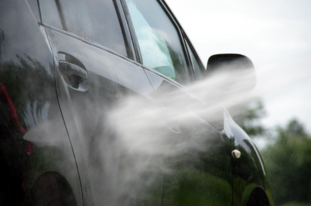 Dove acquistare spazzole per la pulizia delle auto